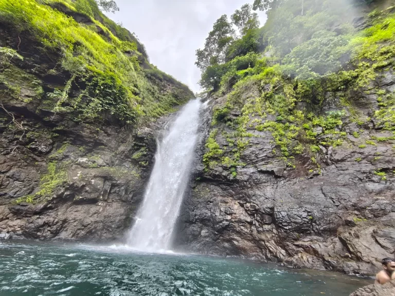 Twin Valley Waterfall: A Peaceful Walk and Meditation in Nature.